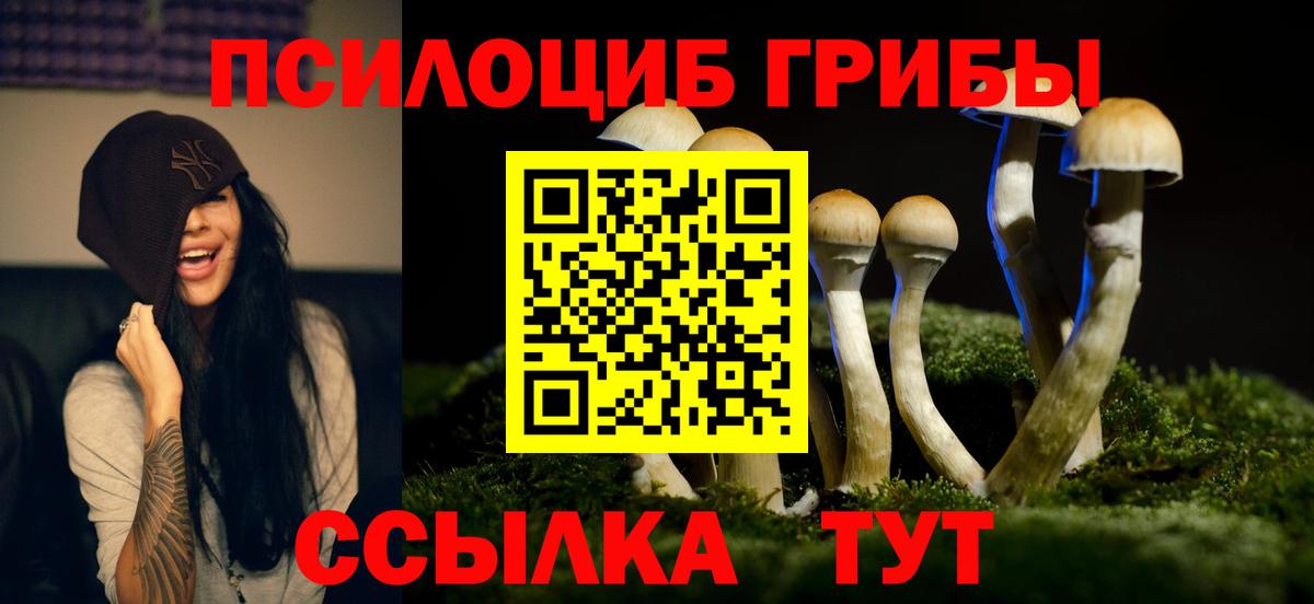 Галлюциногенные грибы Psilocybine cubensis  Галлюциногенные грибы Magic Shrooms  Ногинск  наркошоп  Вход с VPN 