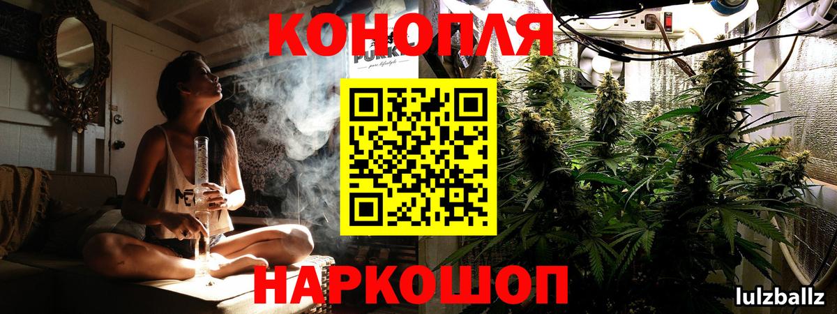 Бошки Шишки сатива Ногинск